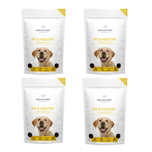 4 x 100g True Solutons Fit and Healthy Dog Samples
